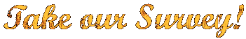 take our survey